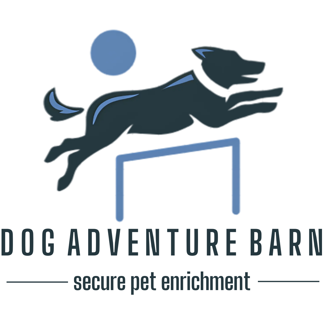 Website Title